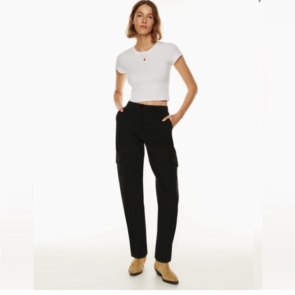 Aritzia Wilfred Free Modern Cargo Pant